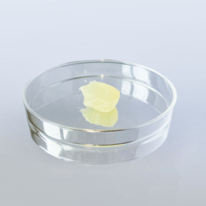 ZLEY®HOLELLIA from ZLEY Group