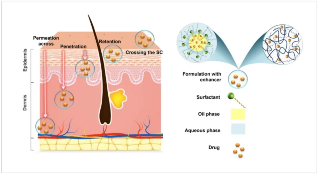 Can I Use Salicylic Acid With Retinol? What Most People Get Wrong 4 45b99702192ef8c18157c96075147aee