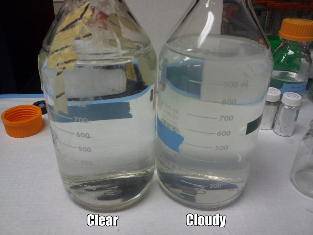 What Is Polysorbate 80 4 2c1c1e904f49afdcf2eca7fcc8c0f10e