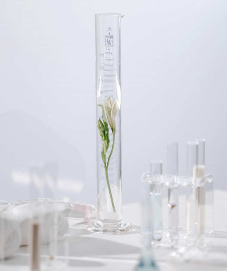 A Multifunctional Skin Conditioner for Sebum Control, Antimicrobial Action, and Preservation Boosting 2 图片2 3